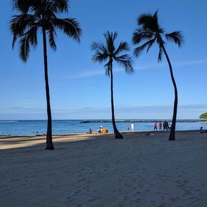 Meet your Posher, Janice